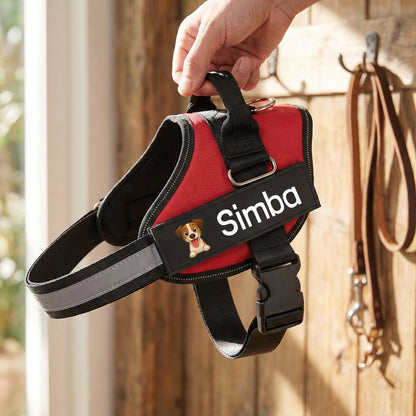 Arnés personalizable para perro